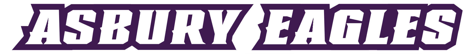 Asbury Eagles Wordmark 2