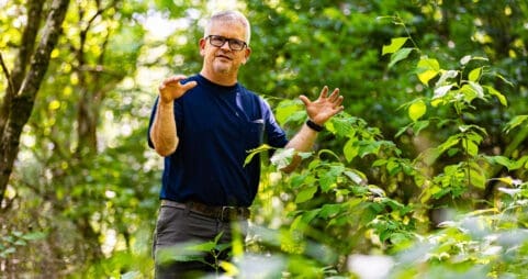 Dr. Marvin Ruffner conducting honeysuckle research at Asbury University Shaw School of Sciences