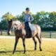 Asbury equine professor Cathrin Wilbanks rides a horse