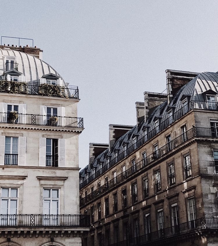 Building roofs in Paris