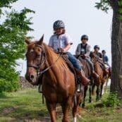 People riding horses among trees