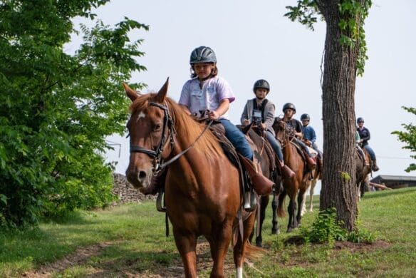 People riding horses among trees