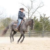 Jesse Westfall riding a horse in a corral