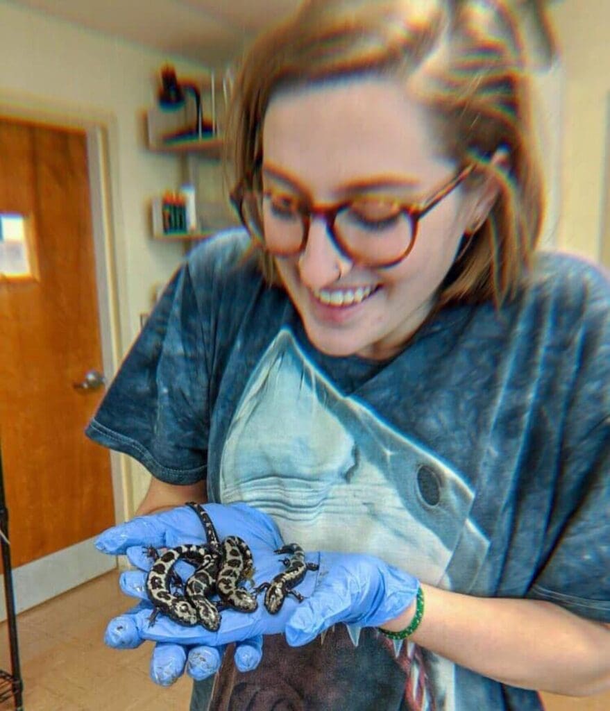 Student holding four salamanders in her hands