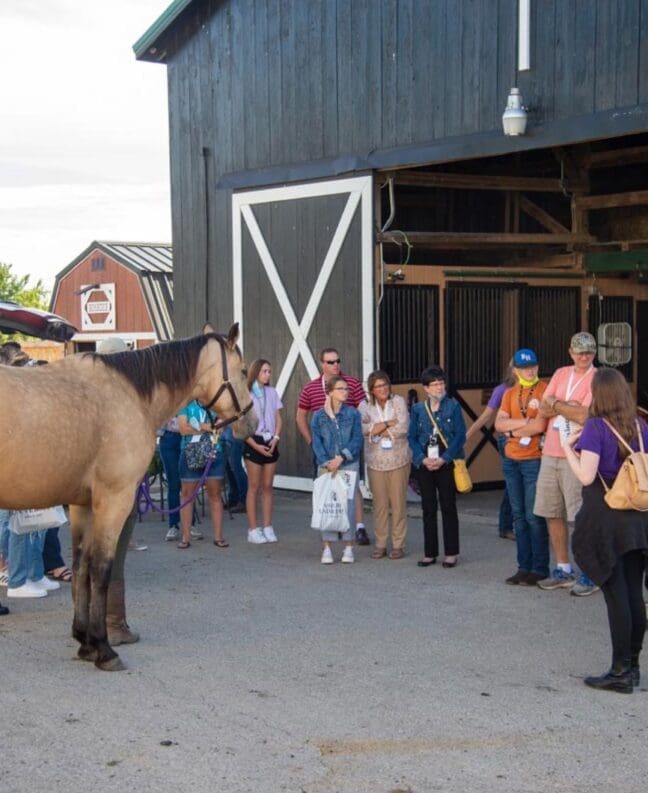 People on a campus tour at the Equine Center