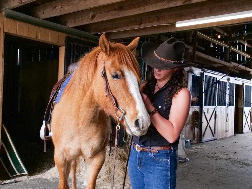 Student working with a horse in the stables