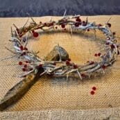 A crown of thorns and a metal spike