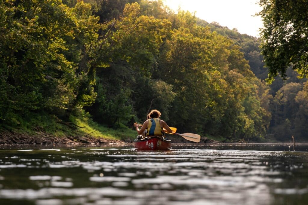 People canoeing on a river