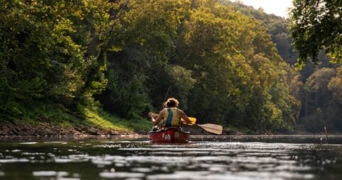 People canoeing on a river