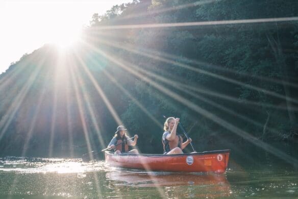 Students canoeing on a river with the sun shining over the trees