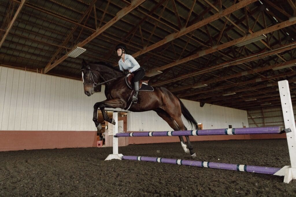 Asbury equine student and horse practicing jumps.