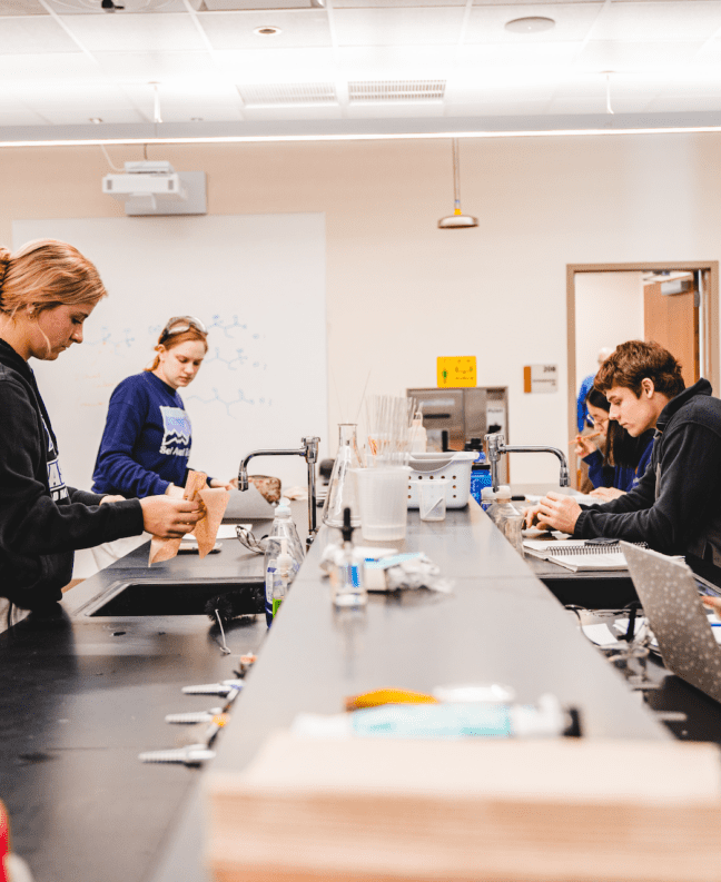 Biology major students work in a lab classroom setting