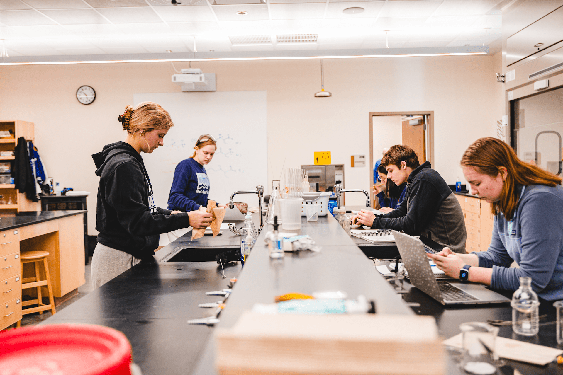 Biology major students work in a lab classroom setting