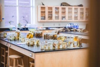 Shaw science lab countertop with several specimens and instruments