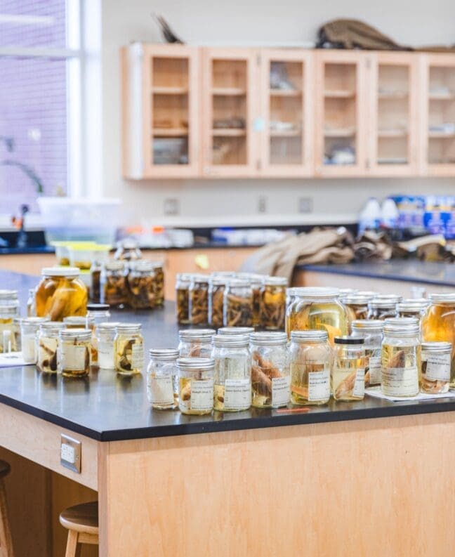 Shaw science lab countertop with several specimens and instruments