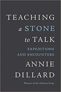 Teaching a Stone to Talk book cover