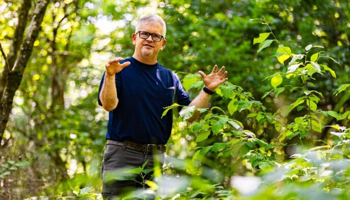 Dr. Marvin Ruffner conducting honeysuckle research at Asbury University Shaw School of Sciences