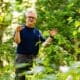 Dr. Marvin Ruffner conducting honeysuckle research at Asbury University Shaw School of Sciences